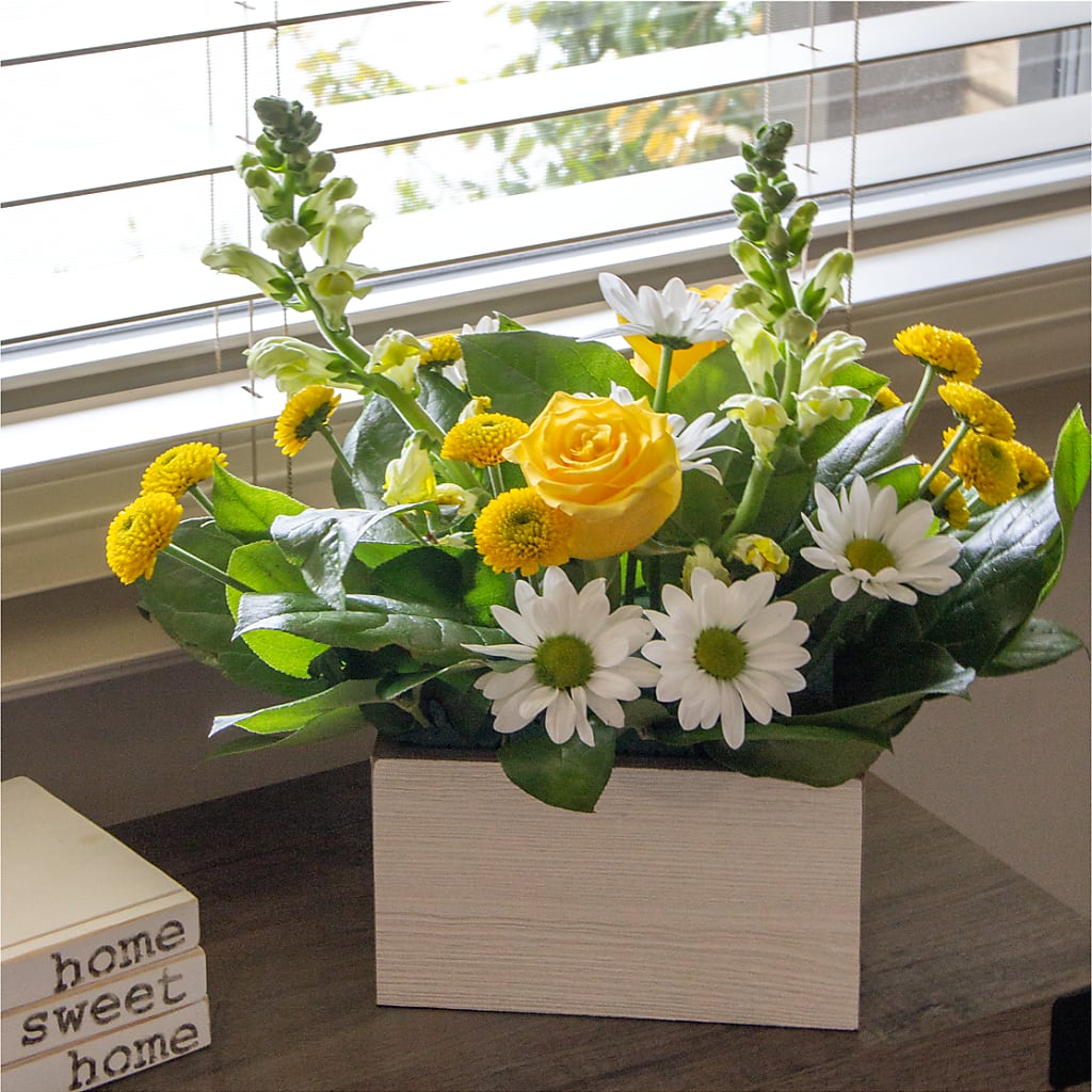 Sun Salutation Box Bouquet – BRAD'S FLORIST, Paris IL