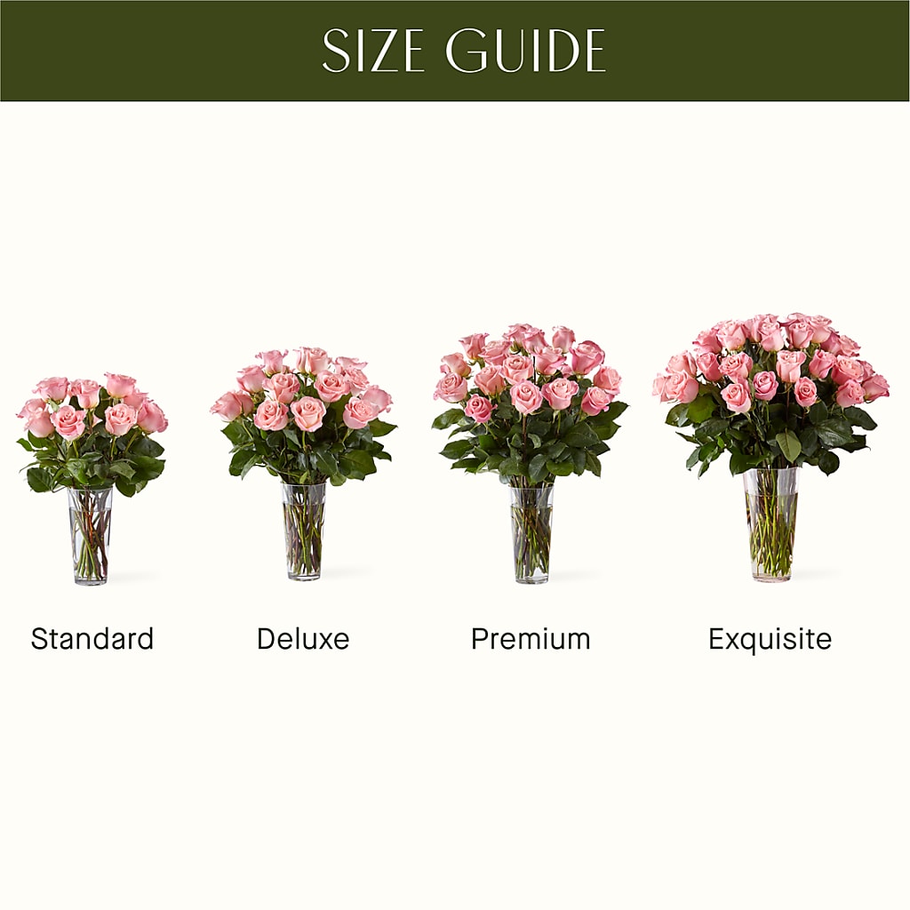 Long Stem Pink Rose Bouquet – BRAD'S FLORIST, Paris IL