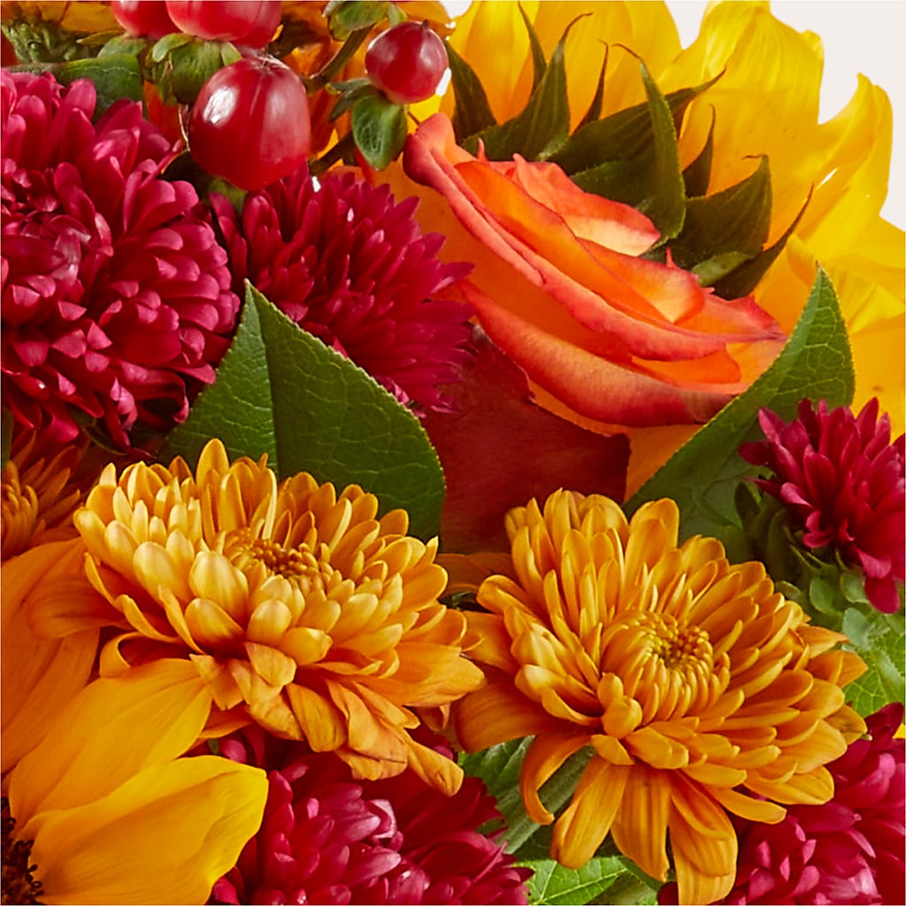 Sweater Season - A Florist Original – BRAD'S FLORIST, Paris IL