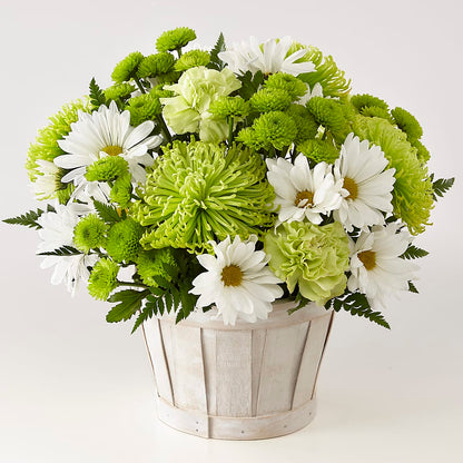 Lucky Charm Basket (Standard) – BRAD'S FLORIST, Paris IL
