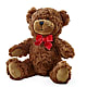Adorable Plush Bear – BRAD'S FLORIST, Paris IL