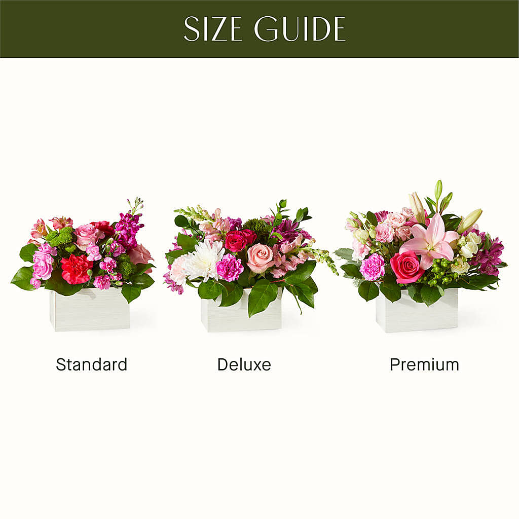 Sweetberry Box – A Florist Original – BRAD'S FLORIST, Paris IL