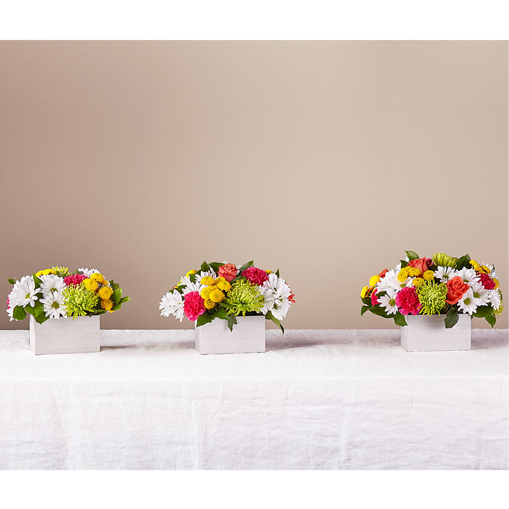 Sorbet Bouquet – BRAD'S FLORIST, Paris IL