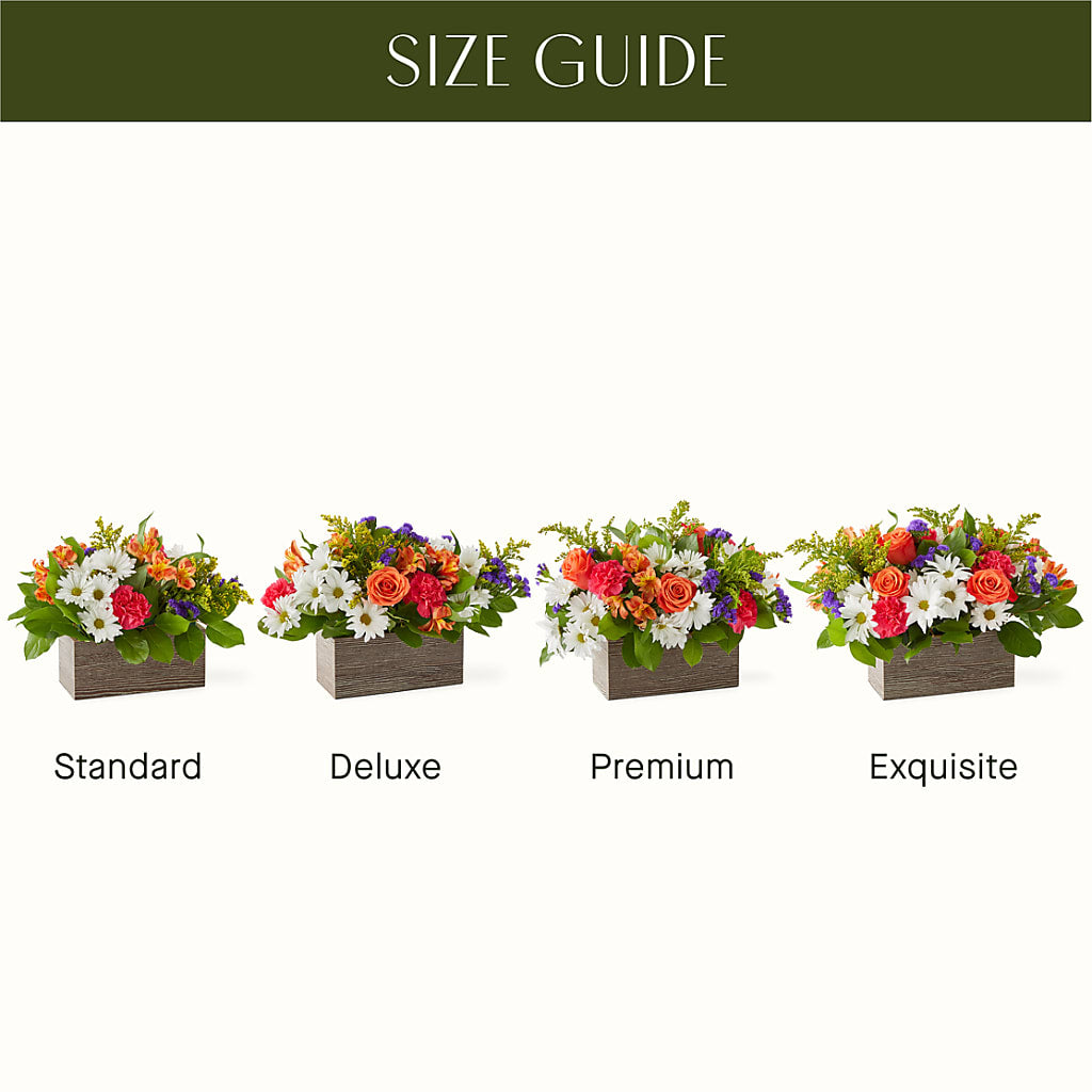 Oopsie Daisy Box Bouquet – BRAD'S FLORIST, Paris IL