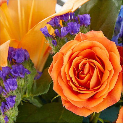 Radiant Citrus Box Bouquet – BRAD'S FLORIST, Paris IL
