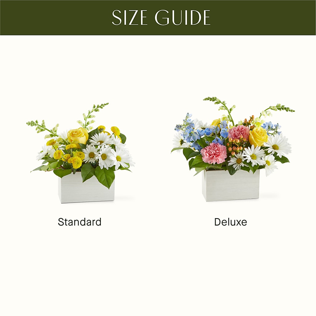 Sun Salutation Box Bouquet – BRAD'S FLORIST, Paris IL