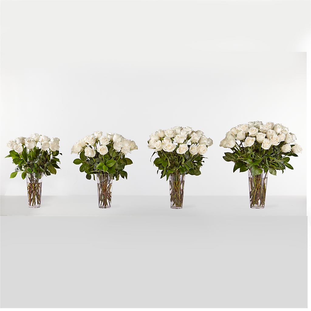Long Stem White Rose Bouquet – BRAD'S FLORIST, Paris IL