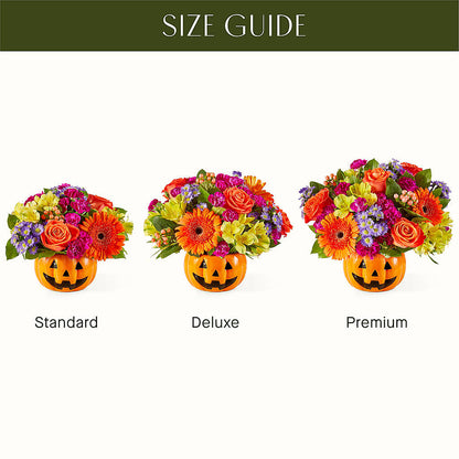 Tricks & Treats Pumpkin – BRAD'S FLORIST, Paris IL