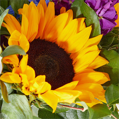 Catching Rays Bouquet – BRAD'S FLORIST, Paris IL