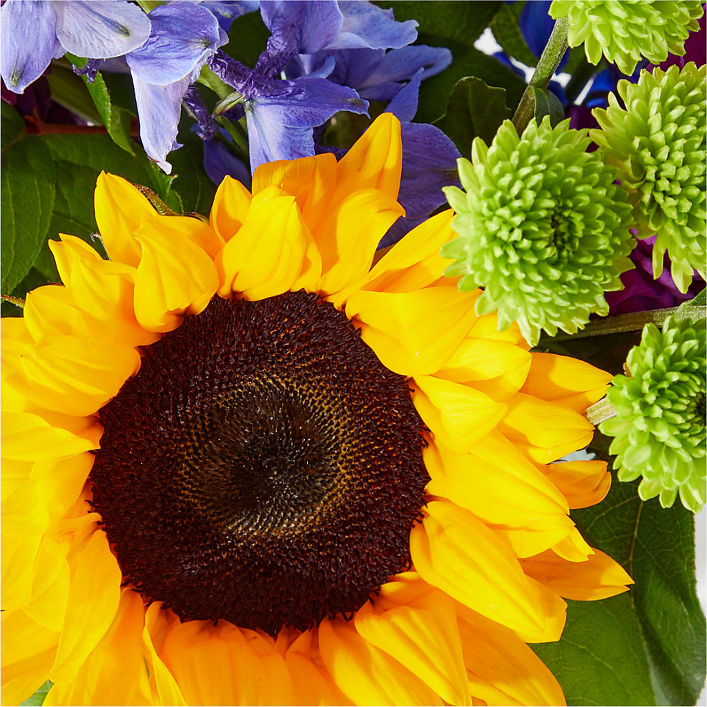 Catching Rays Bouquet – BRAD'S FLORIST, Paris IL