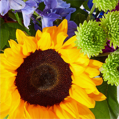 Catching Rays Bouquet – BRAD'S FLORIST, Paris IL