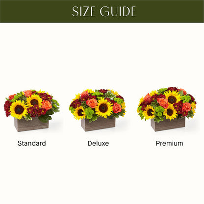 Happy Harvest Garden – BRAD'S FLORIST, Paris IL