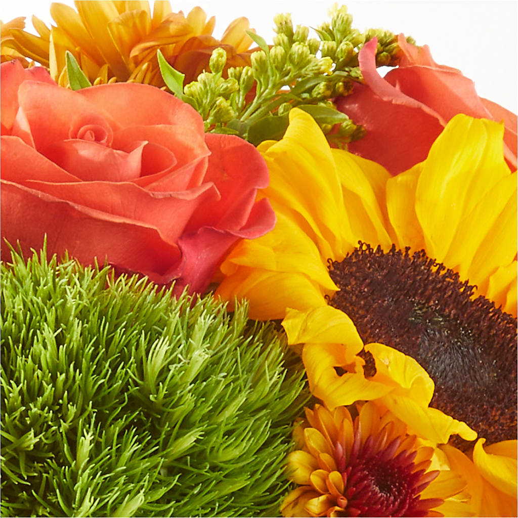 Farmer’s Market Stroll Bouquet – BRAD'S FLORIST, Paris IL