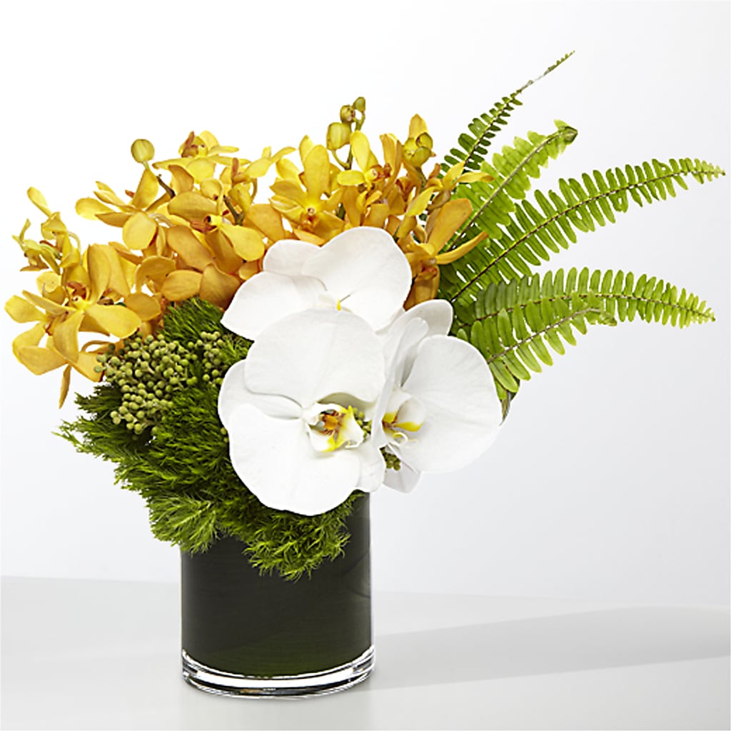 The Tropics – BRAD'S FLORIST, Paris IL