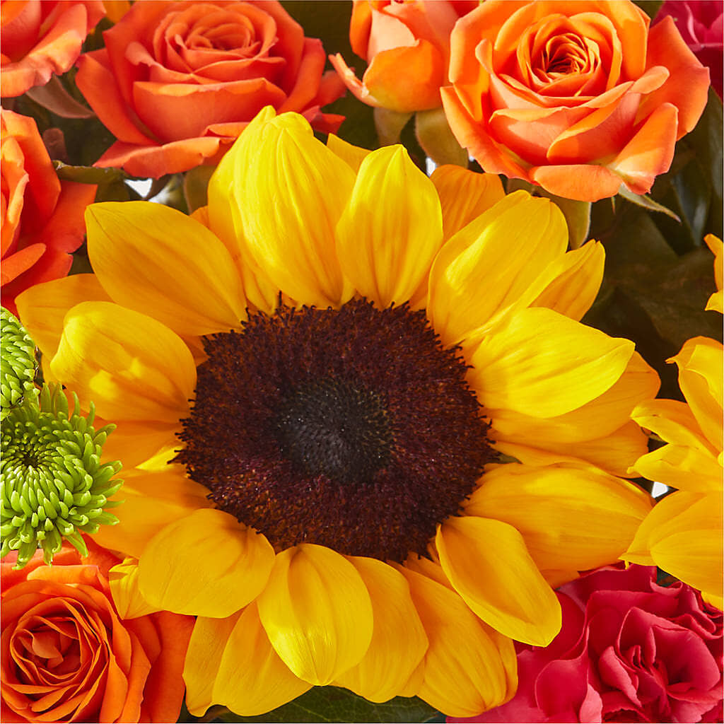Sun-drenched Blooms Box Bouquet – BRAD'S FLORIST, Paris IL