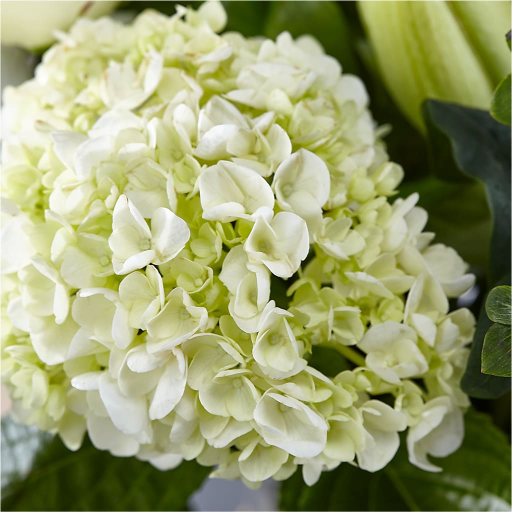 Classic Ivory – A Florist Original – BRAD'S FLORIST, Paris IL