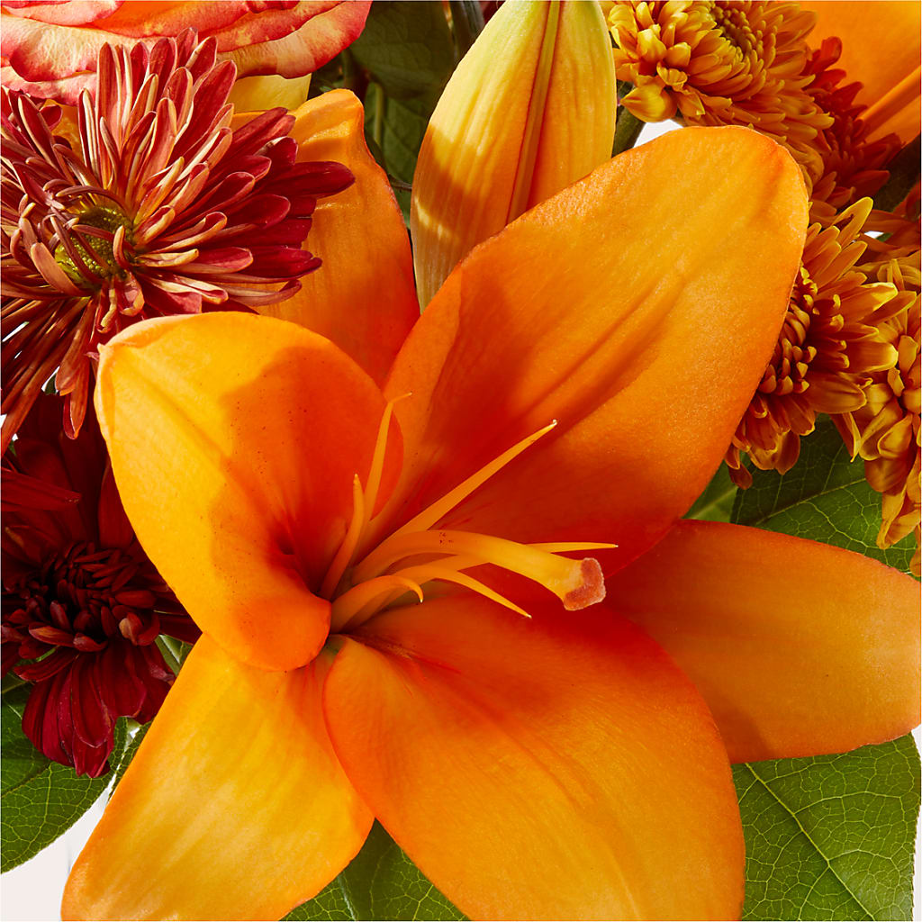 Autumnal Aroma Bouquet – BRAD'S FLORIST, Paris IL