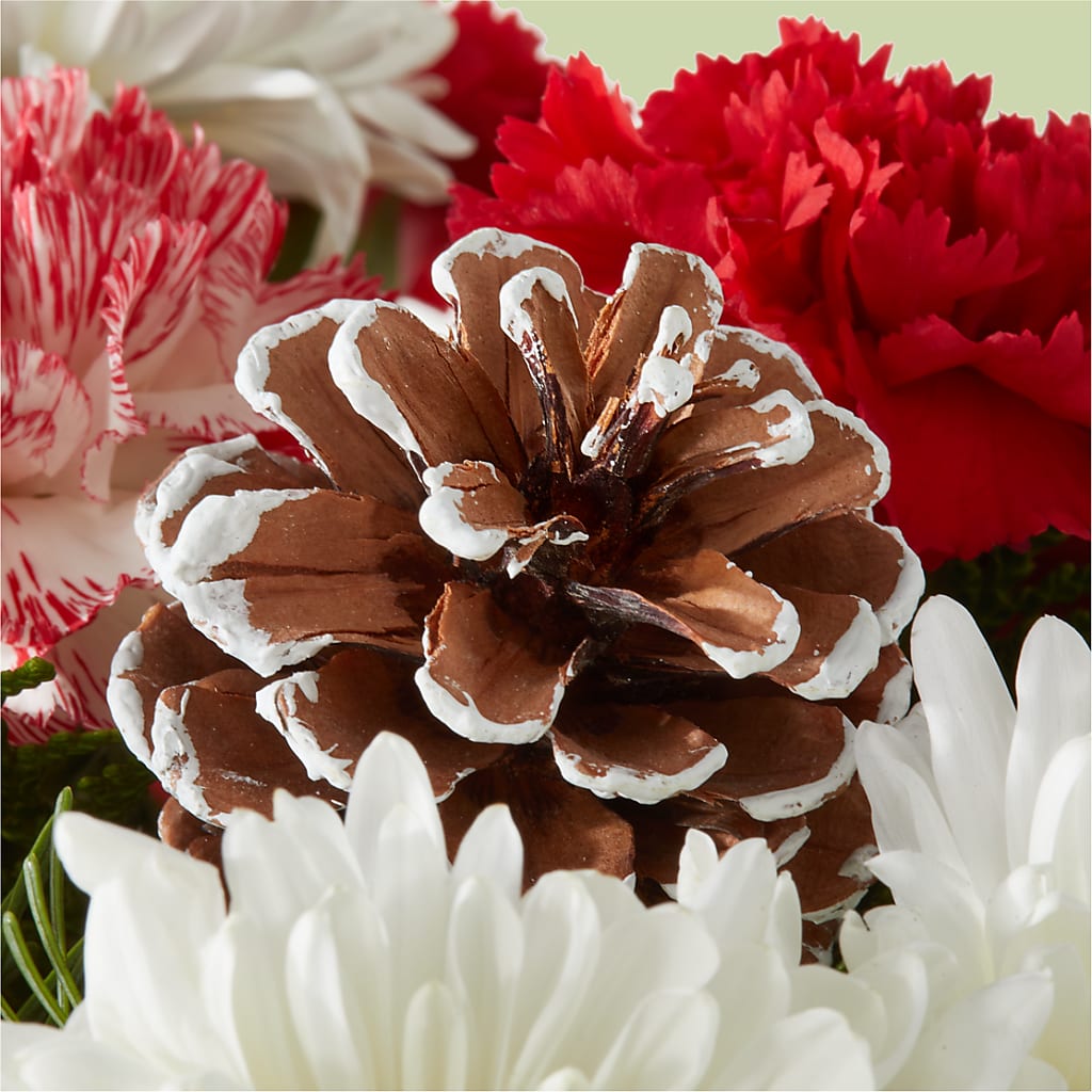 Candy Cane Lane Bouquet – BRAD'S FLORIST, Paris IL