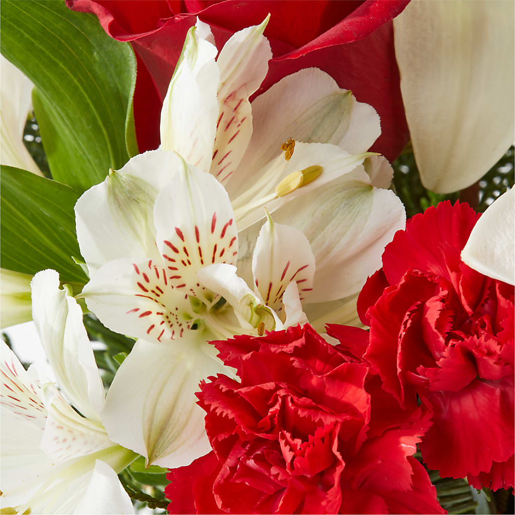 Holiday Season Bouquet – BRAD'S FLORIST, Paris IL