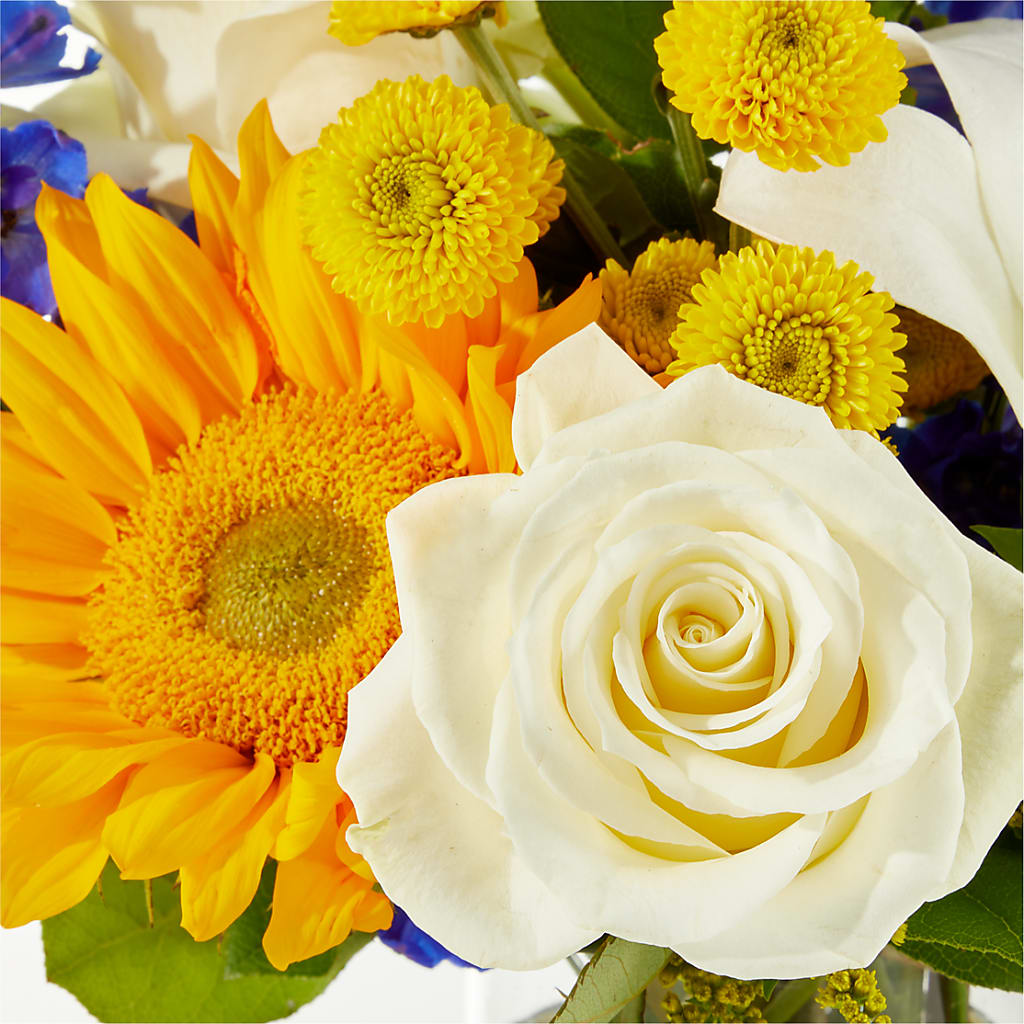 Stargazing Bouquet – BRAD'S FLORIST, Paris IL