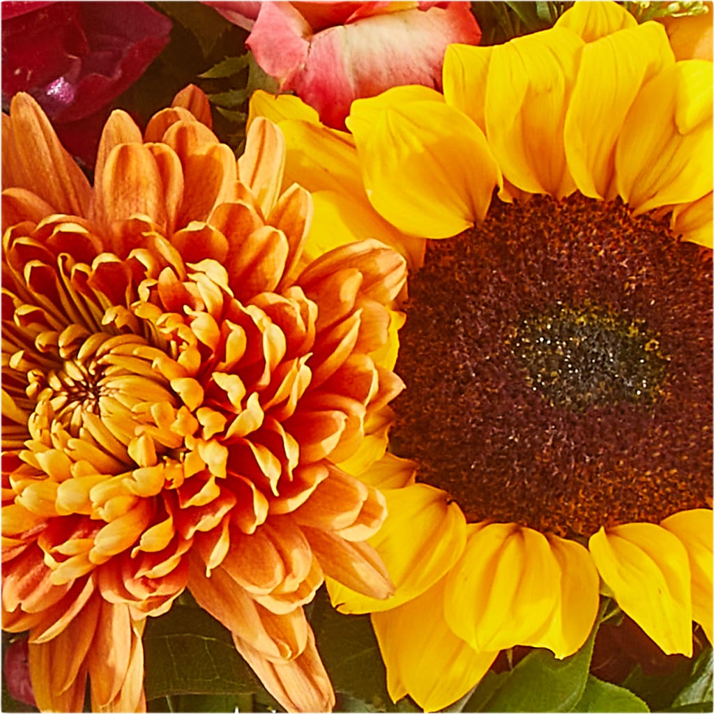 Seasons Change Bouquet – BRAD'S FLORIST, Paris IL