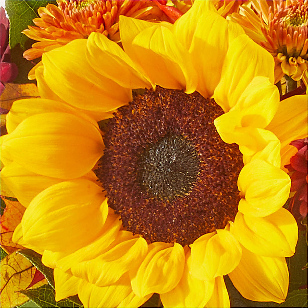 Sunny Side Bouquet – BRAD'S FLORIST, Paris IL