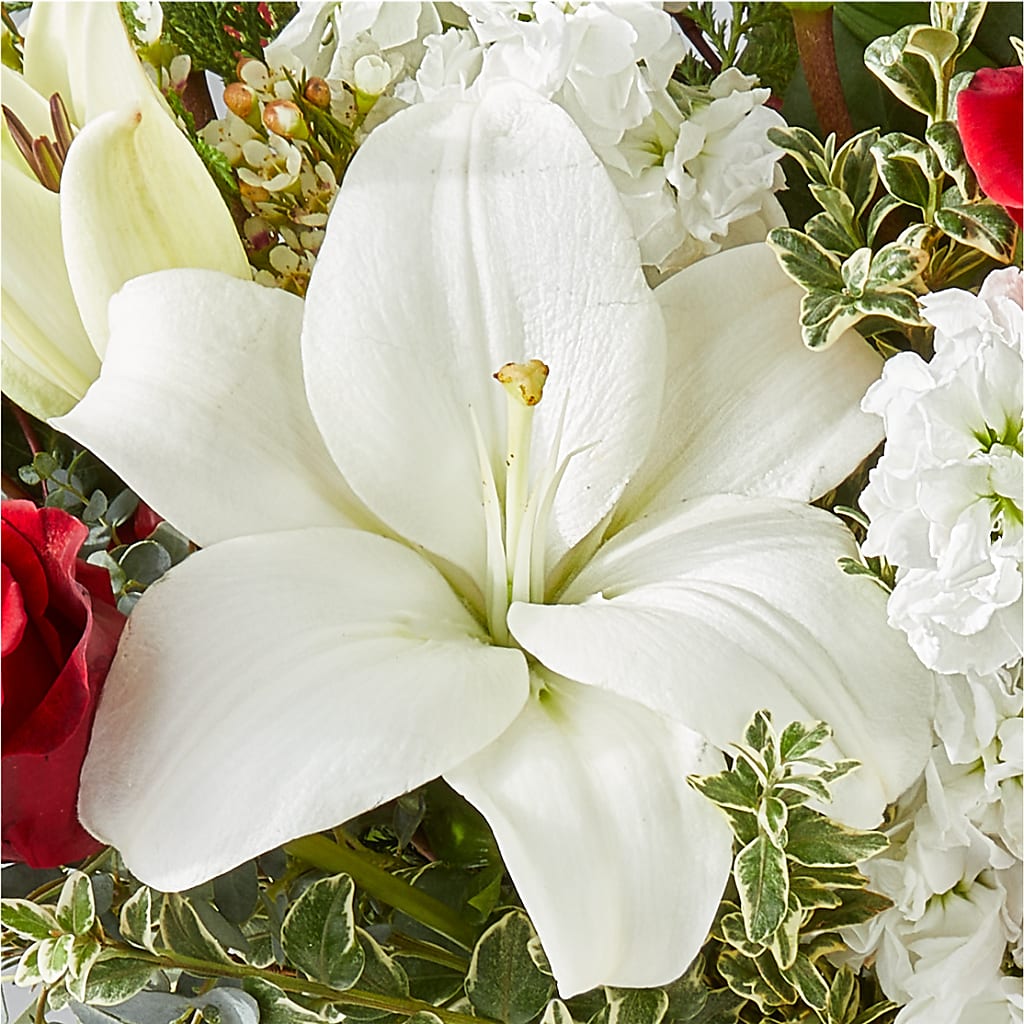 Twinkle Lights Bouquet – BRAD'S FLORIST, Paris IL