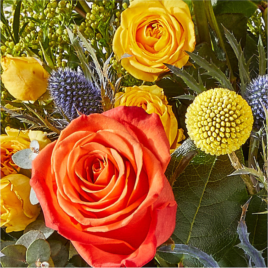 Disco Bouquet – BRAD'S FLORIST, Paris IL