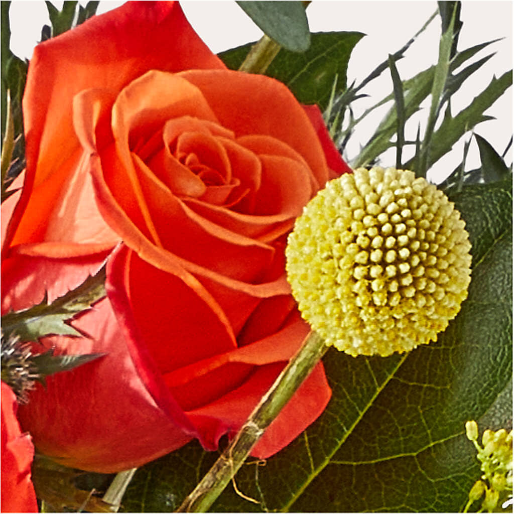 Disco Bouquet – BRAD'S FLORIST, Paris IL
