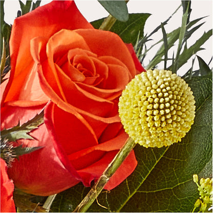 Disco Bouquet – BRAD'S FLORIST, Paris IL