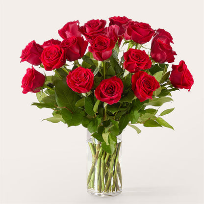 The One Red Rose Bouquet – BRAD'S FLORIST, Paris IL