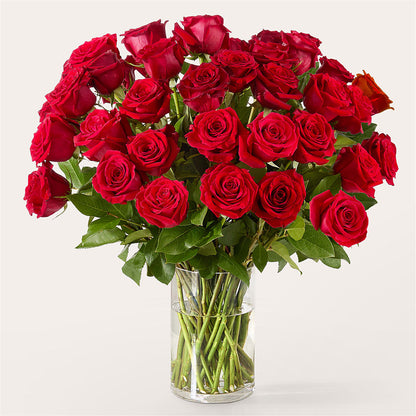 The One Red Rose Bouquet – BRAD'S FLORIST, Paris IL