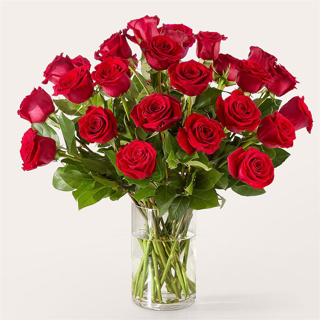 The One Red Rose Bouquet – BRAD'S FLORIST, Paris IL