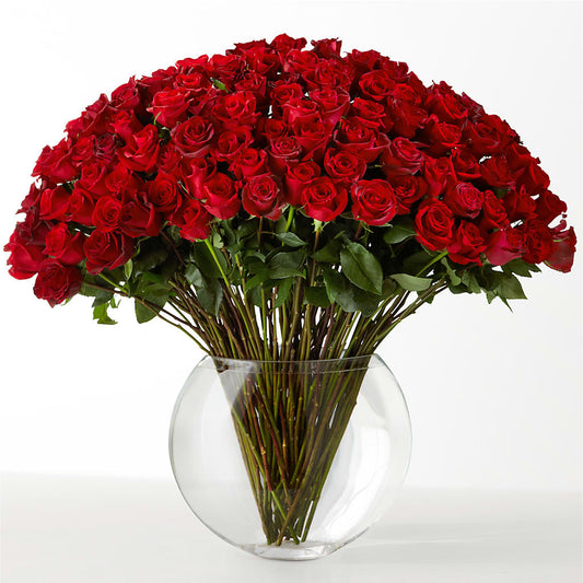 The Idealist – BRAD'S FLORIST, Paris IL