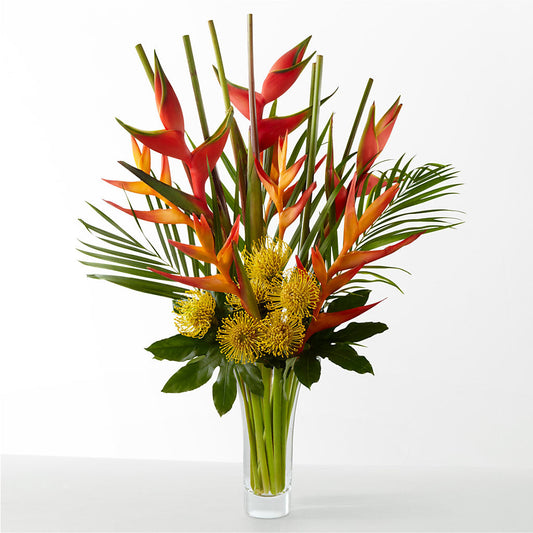 The Drama – BRAD'S FLORIST, Paris IL