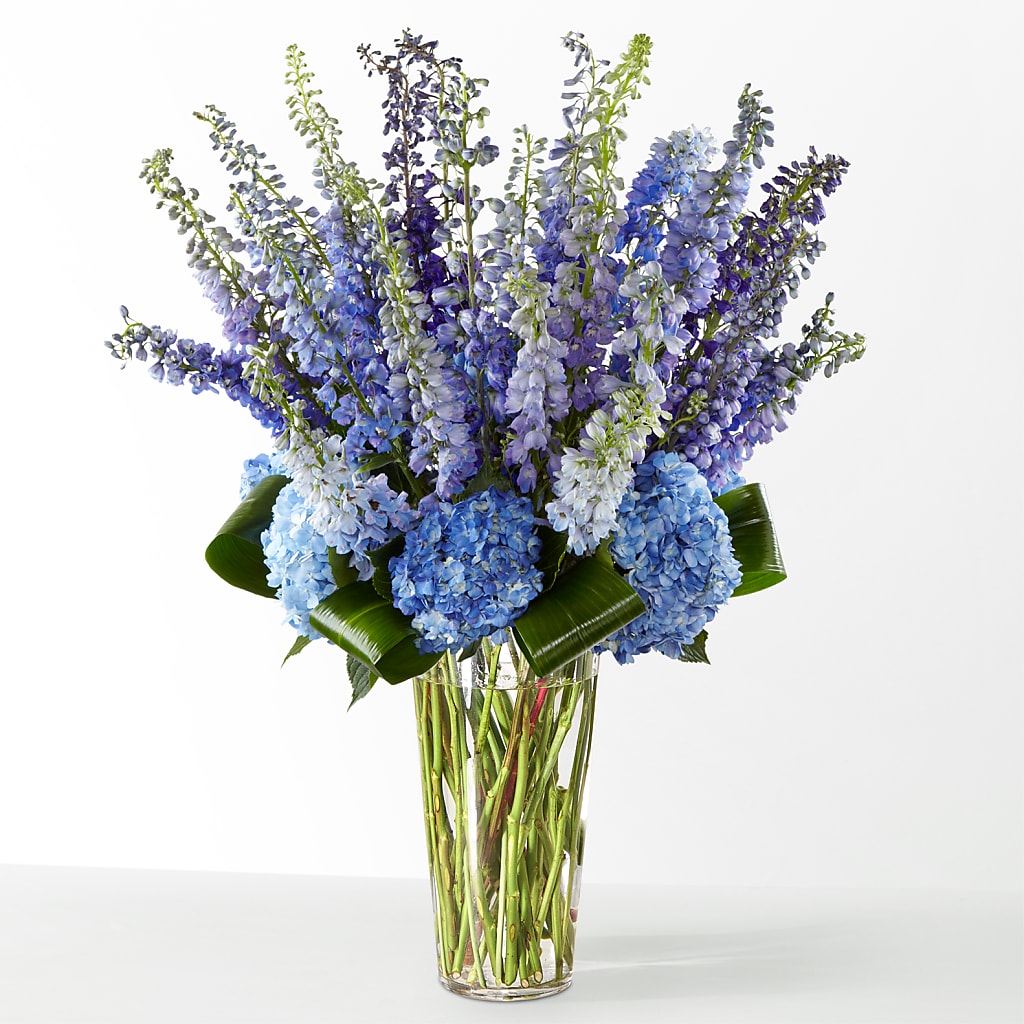 The Editorial – BRAD'S FLORIST, Paris IL