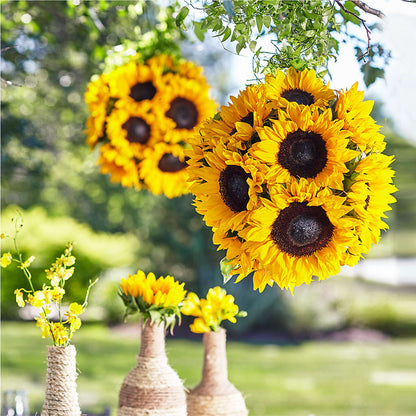 Sublime Garden Hanging Arrangement – BRAD'S FLORIST, Paris IL