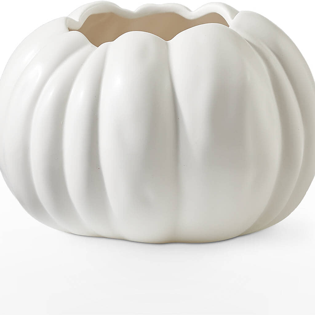 Pumpkin to Talk About Bouquet – BRAD'S FLORIST, Paris IL
